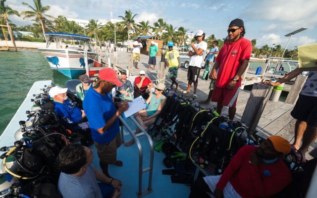 Belize Dive Haven