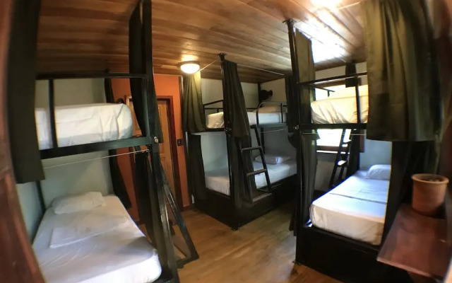 Bambuda Lodge - Hostel