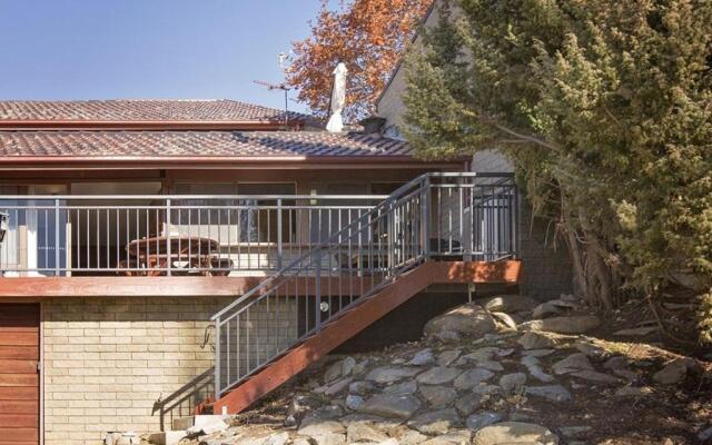 Grey Kangaroo- On Lake Jindabyne foreshore