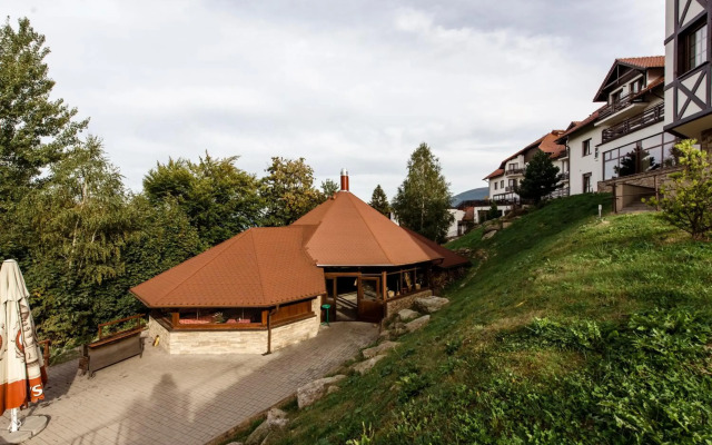 Dziki Potok