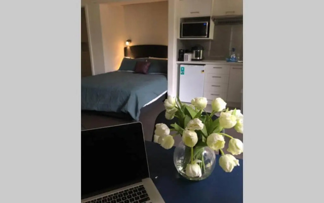 East Melbourne City Studio - Amazing Location & Sunny Charm