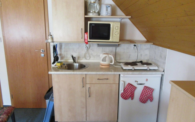 Apartment Dvořáků