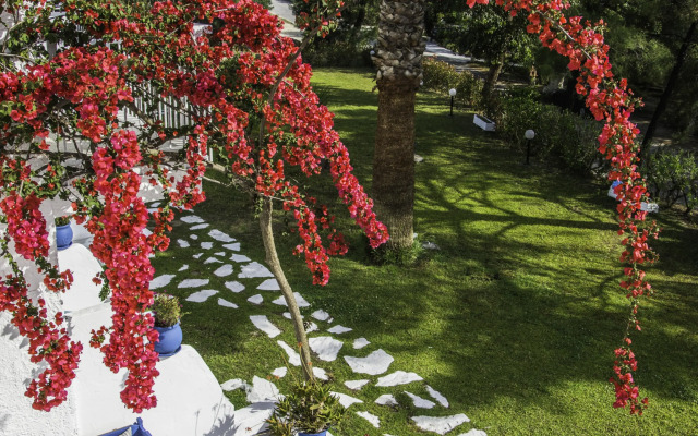 Trees Art Boutique Hotel