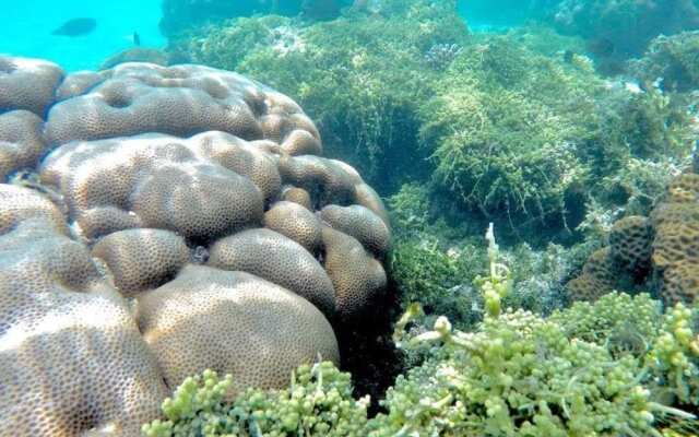 White Lagoon Fehendhoo