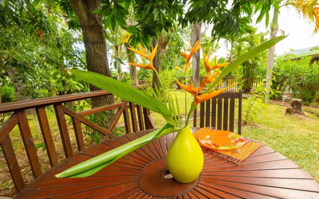 Baobab Et Palmiers