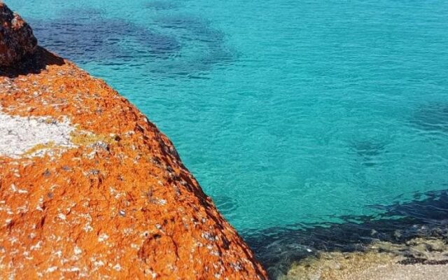 Bed in the Treetops Bed & Breakfast