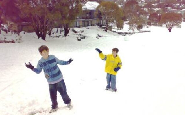 Snowbound Chalets
