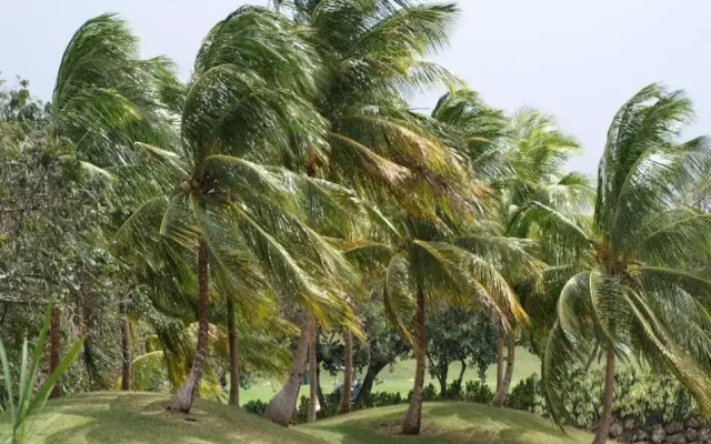 Paradise BDS - 3 B R Golf Villa at Rwml
