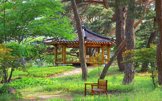 Gurye Nogojiri Pension