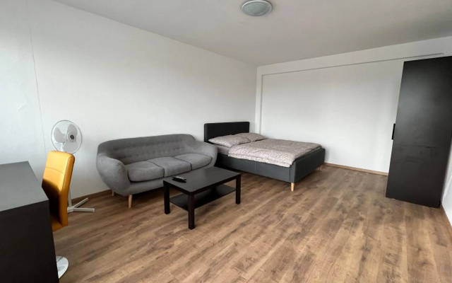 1 room Apartment with balcony, Dolezalova street