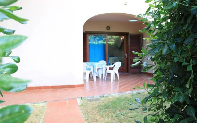 Vecchio Ulivo