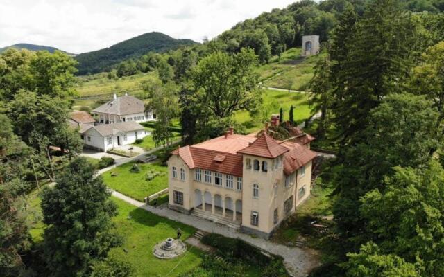 casa cu lavanda