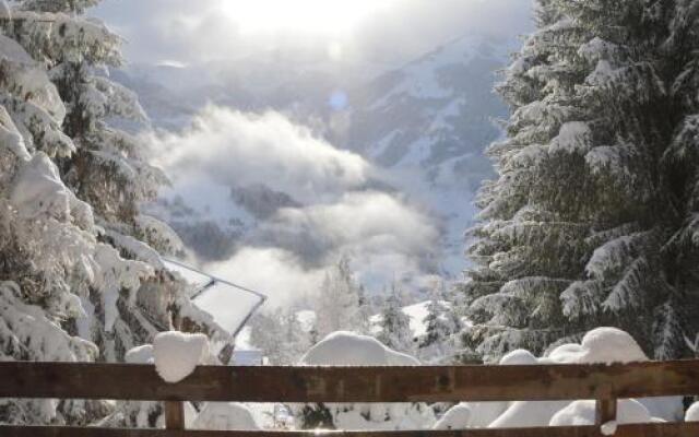 Chalet Sonnberg