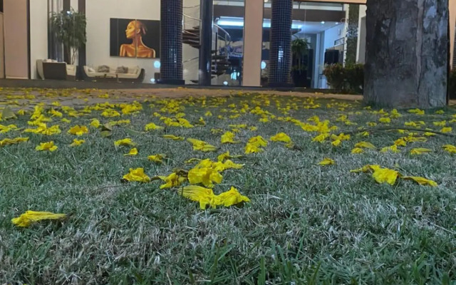 Toddes Exclusive Resort