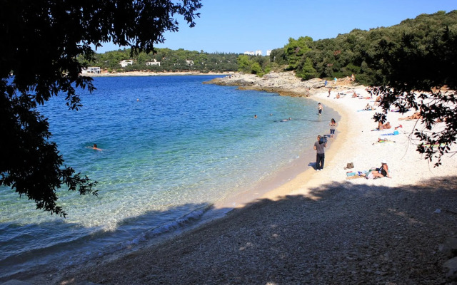 Family friendly apartments with a swimming pool Pula - 7610