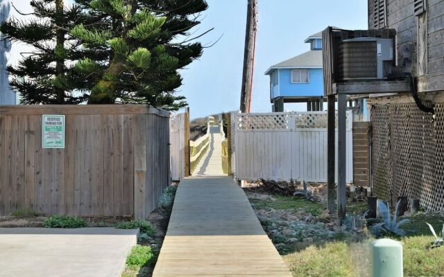 Xana-Dunes at Laplaya by RedAwning