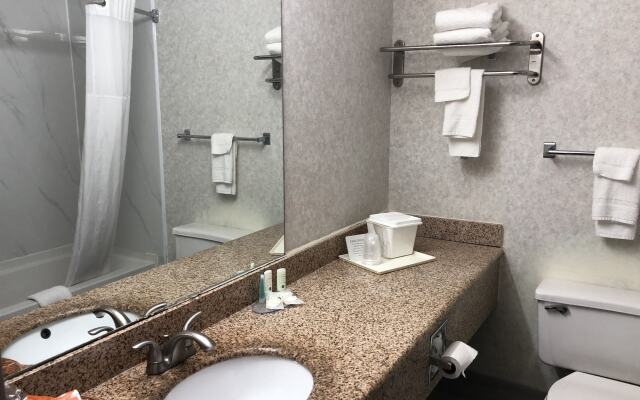 Quality Inn Dublin I-81