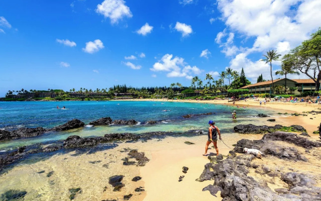 Napili Point C-12 - 2Br Condo