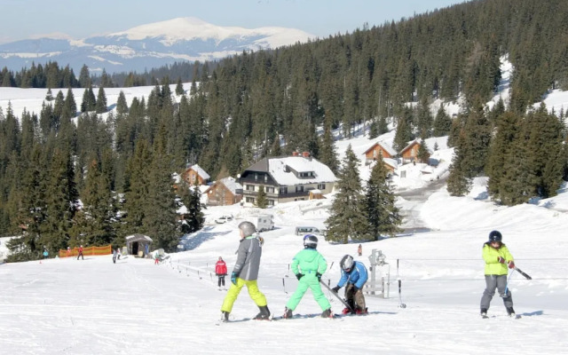 Chalet in Carinthia With Sauna Near Ski Slopes