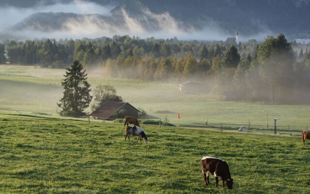 Wimmerhof Inzell
