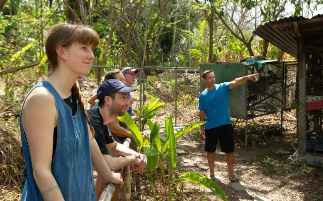 Jungle Lodge at Wild Sun Rescue
