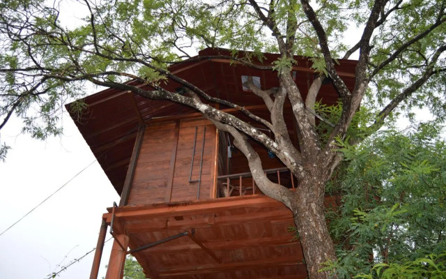 Dambulla Tree House