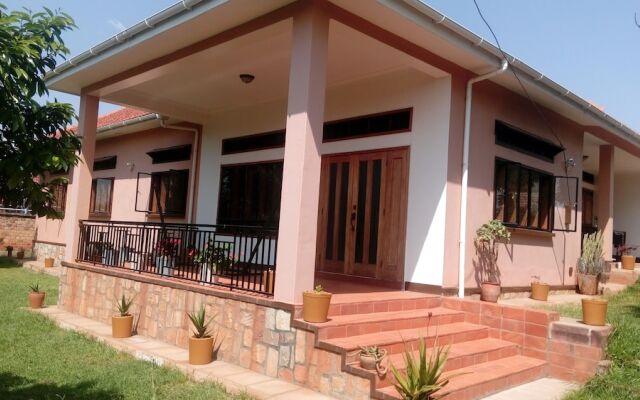 Ziso Home - Adults Only