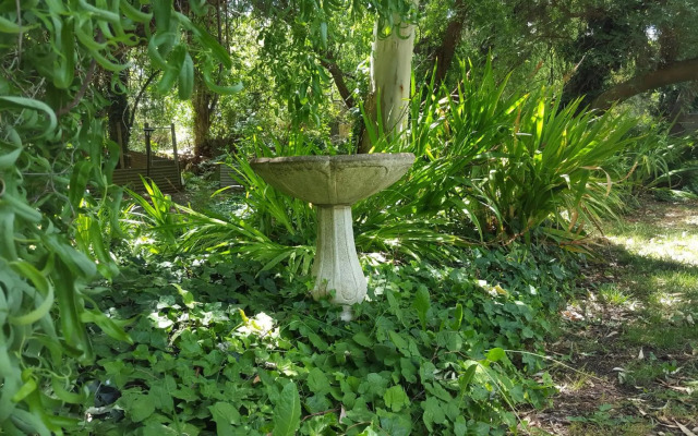 Angaston by the Winter Creek