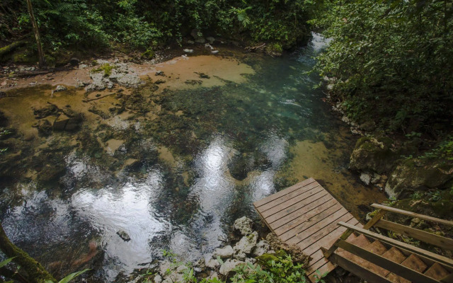 Jaguar Creek