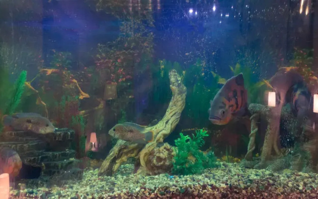 Мастер Отель Первомайская