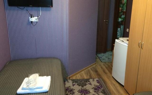 Mini-Hotel Sibir