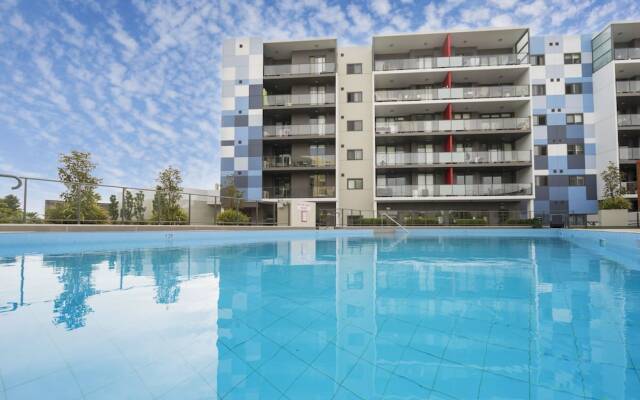 Stylish Modern Ecco Complex