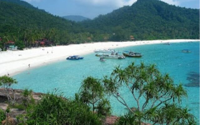Homestay Amer