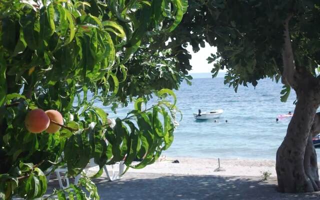 Apartments Antonia 3449