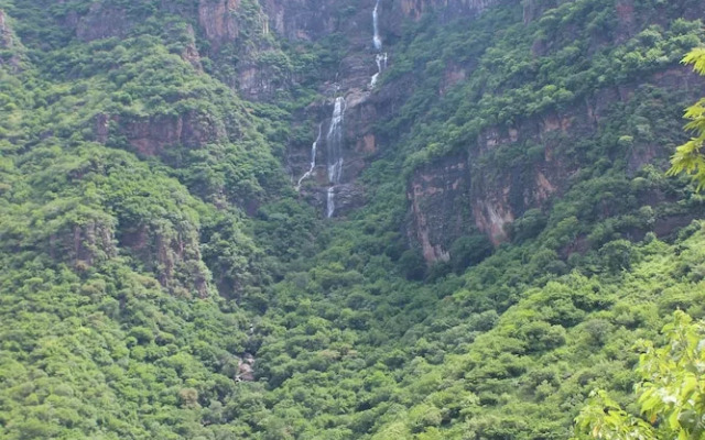 Hotel Ejecutivo Temoris