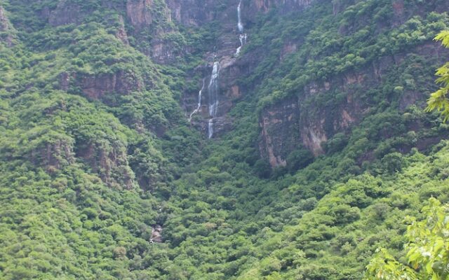 Hotel Ejecutivo Temoris