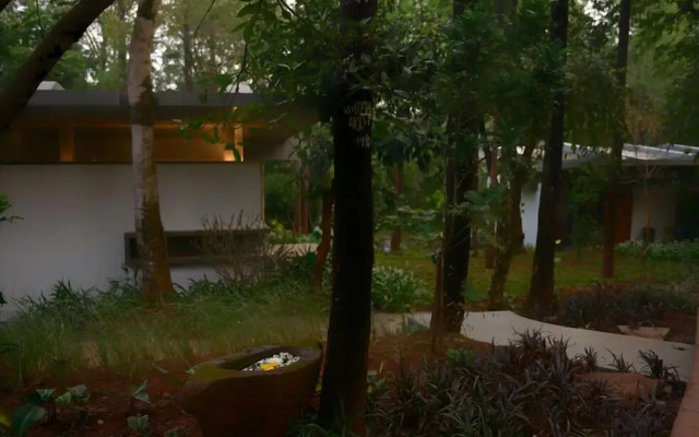 Java Rain Resorts