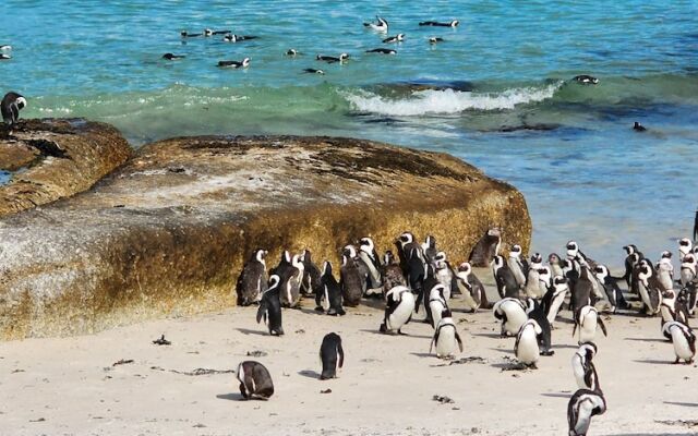 Boulders Blue Bed and Breakfast