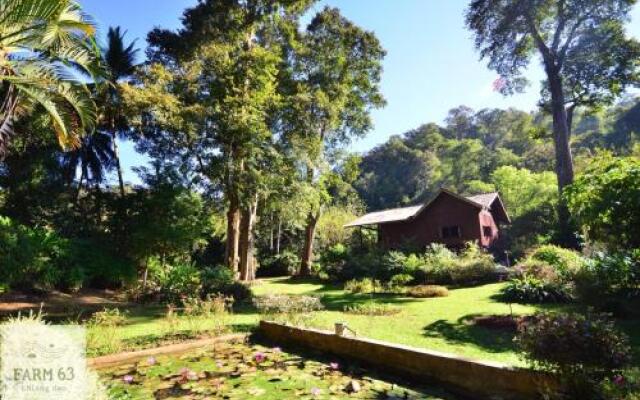 Farm63 Chiang Dao
