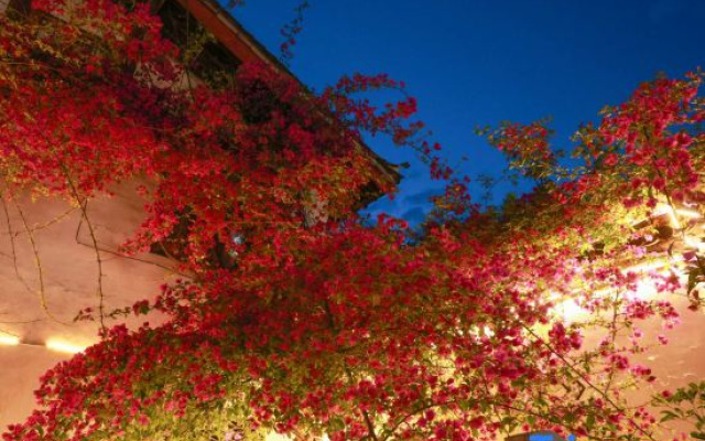 Yinchen'Ge Boutique Inn
