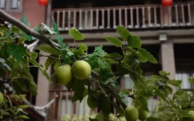 Shuhe Yanchao Hostel