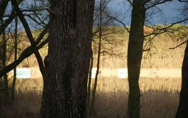 Classy Apartment in Ferchesar