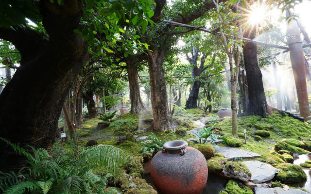 Tree Scape Retreat Resort