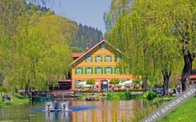 Hotel Zur alten Mühle