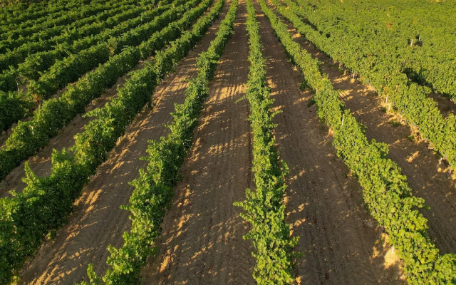 Bengodi Boutique Hotel