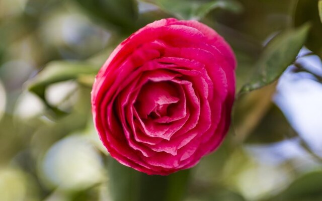 Il giardino di Fiorina