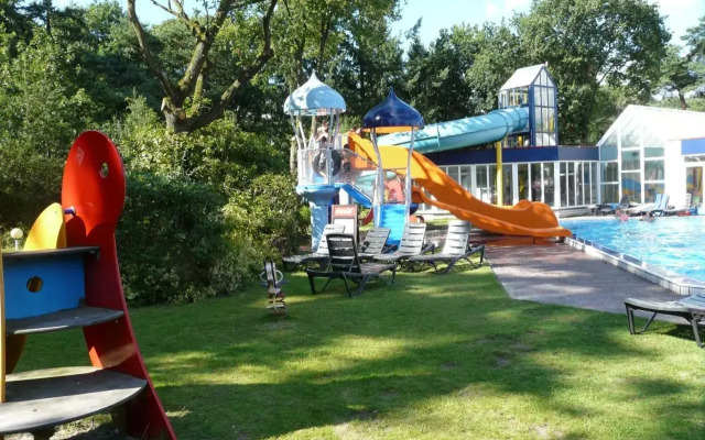 Dolfijn