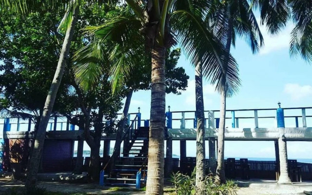 The Pelicans Castaway