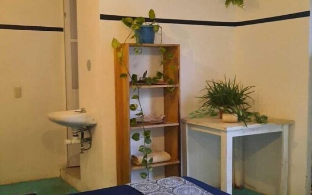 Casa Conejo by Malayah