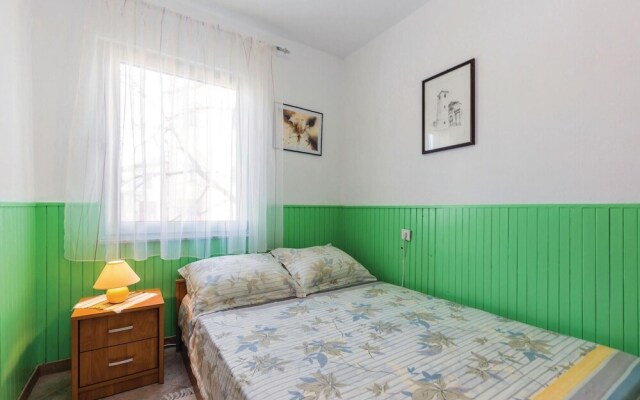 Amazing Home in Novi Vinodolski With Wifi and 5 Bedrooms